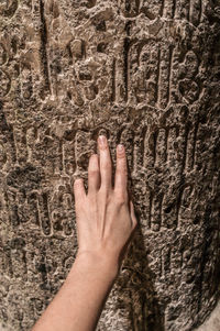 Close-up of human hand against tree trunk