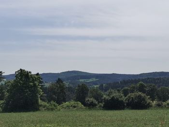 Scenic view of field against sky