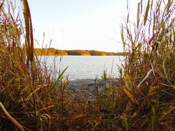 Scenic view of lake against clear sky