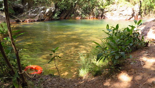 Scenic view of calm lake