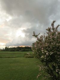 Scenic view of grassy field against cloudy sky