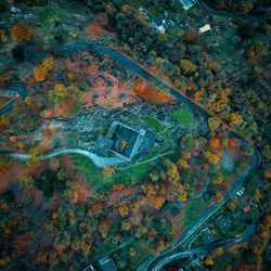 High angle view of tree by building