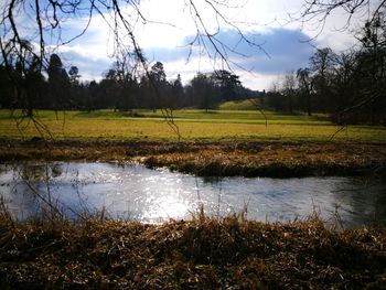 Scenic view of agricultural landscape against sky