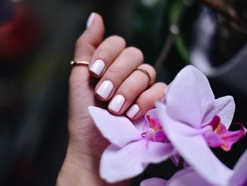 Close-up of hand on purple flowering plants