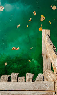 Top view of wooden path on idyllic green lake with fall leaves on water surface.