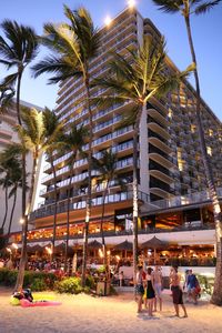 Palm trees in city against sky