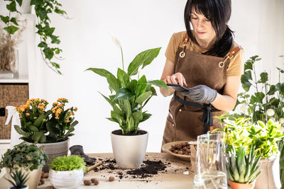 Female gardener using smartphone working at workshop transplantation houseplants