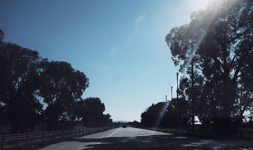 Empty road along trees