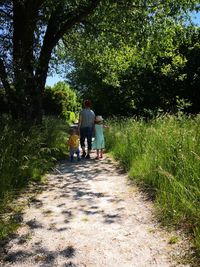 Rear view of people walking on footpath amidst trees