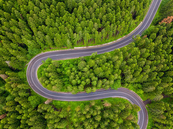 Aerial view of a road in the middle of the forest