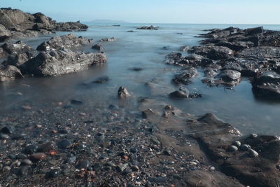 Scenic view of sea shore