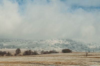 Scenic view of landscape against sky during winter