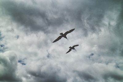 Low angle view of airplane flying against cloudy sky