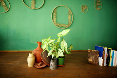 Potted plant on table against wall at home