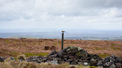 Scenic view of land against sky