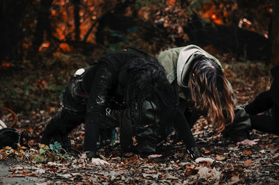 View of dog on field during autumn