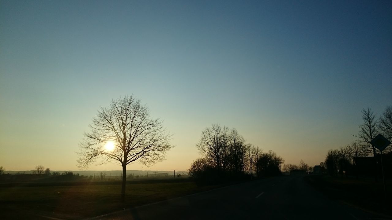 silhouette, clear sky, bare tree, sunset, tree, tranquility, tranquil scene, landscape, copy space, the way forward, field, scenics, nature, beauty in nature, road, sky, country road, diminishing perspective, dusk, non-urban scene