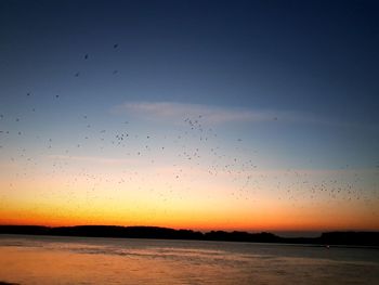 Flock of birds flying in sky during sunset