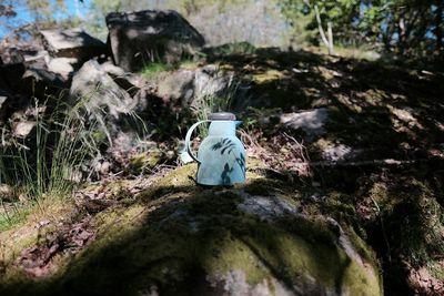 Woman standing in forest