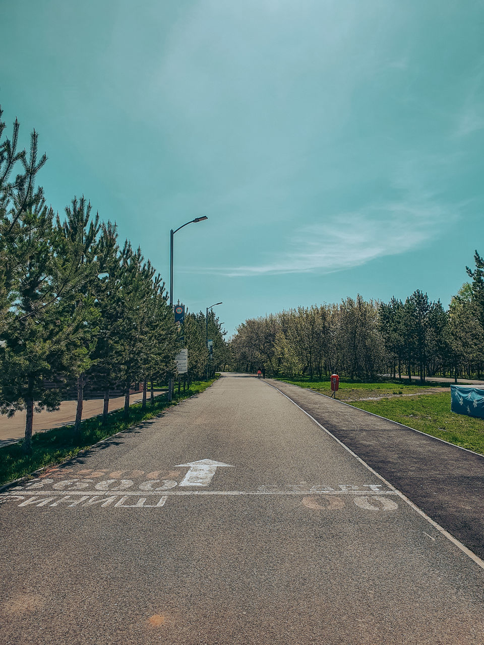 ROAD AMIDST TREES AGAINST SKY