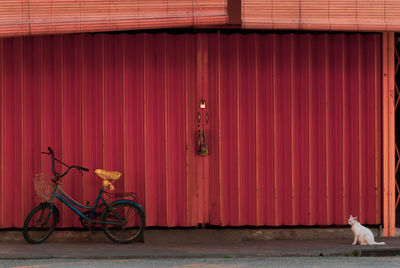 An old weathered bicycle and alone white cat in front of a red shutter closed shop.