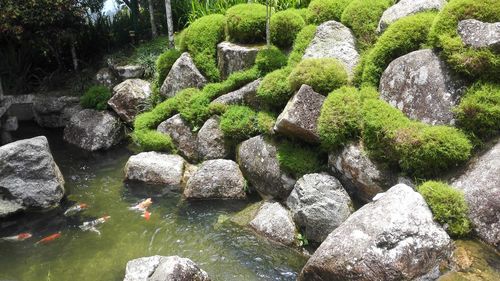 View of rocks in water