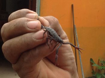 Close-up of hand holding hands