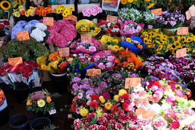 Various flowers for sale at market stall