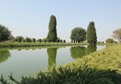 Reflection of trees in calm lake