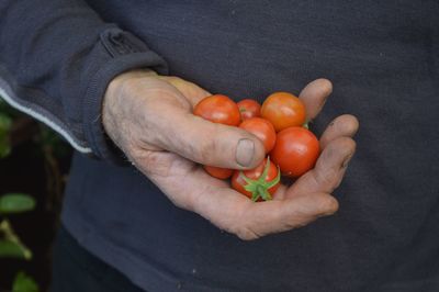 Midsection of man holding cherry tomatoes