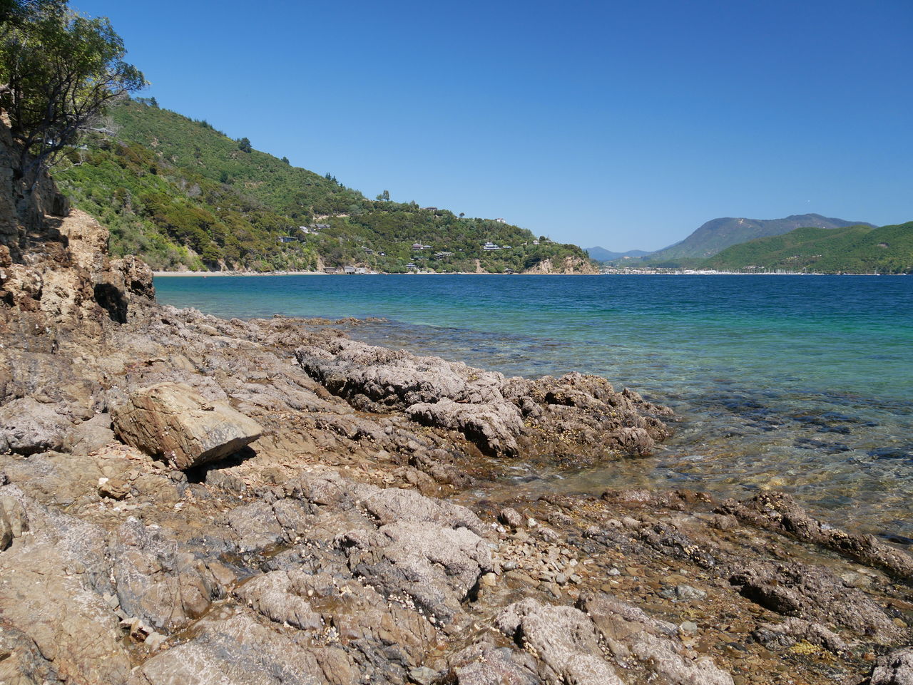 SCENIC VIEW OF BEACH AGAINST CLEAR SKY