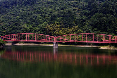 Bridge over river against trees