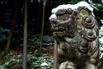 Close-up of animal statue