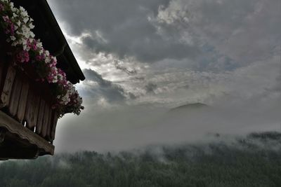 Low angle view of flowers blooming in balcony against cloudy sky