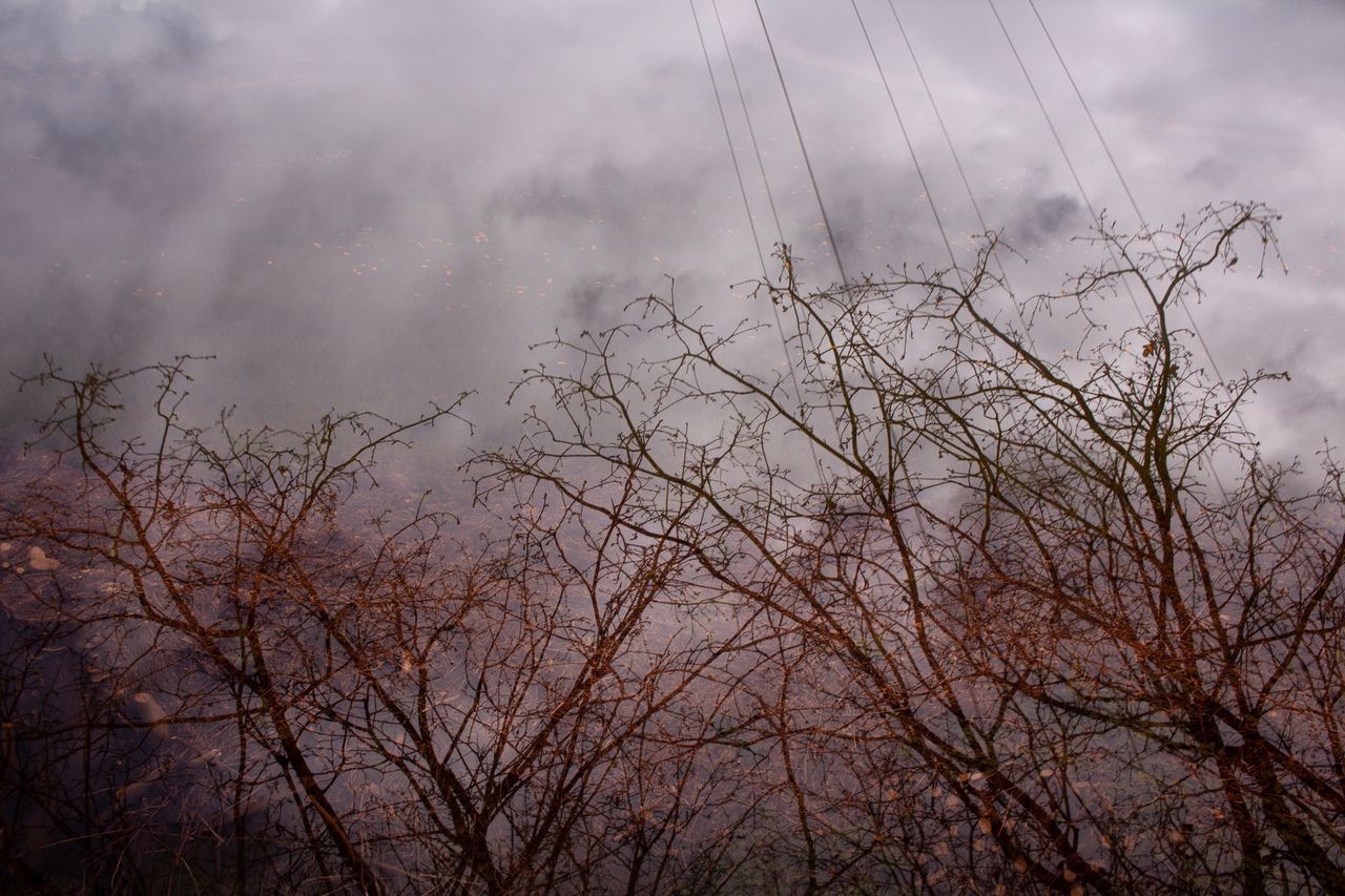 LOW ANGLE VIEW OF BARE TREES AGAINST CLOUDY SKY