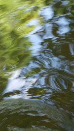 Stream flowing through rocks