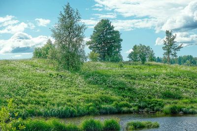 Scenic view of field against cloudy sky