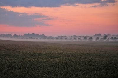 Scenic view of field against sky during sunset