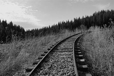 Railroad tracks on field