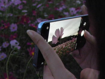 Midsection of person photographing through smart phone