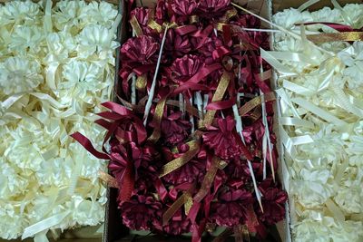High angle view of purple flowering plant