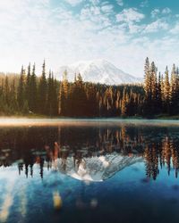 Reflection of trees in lake against sky