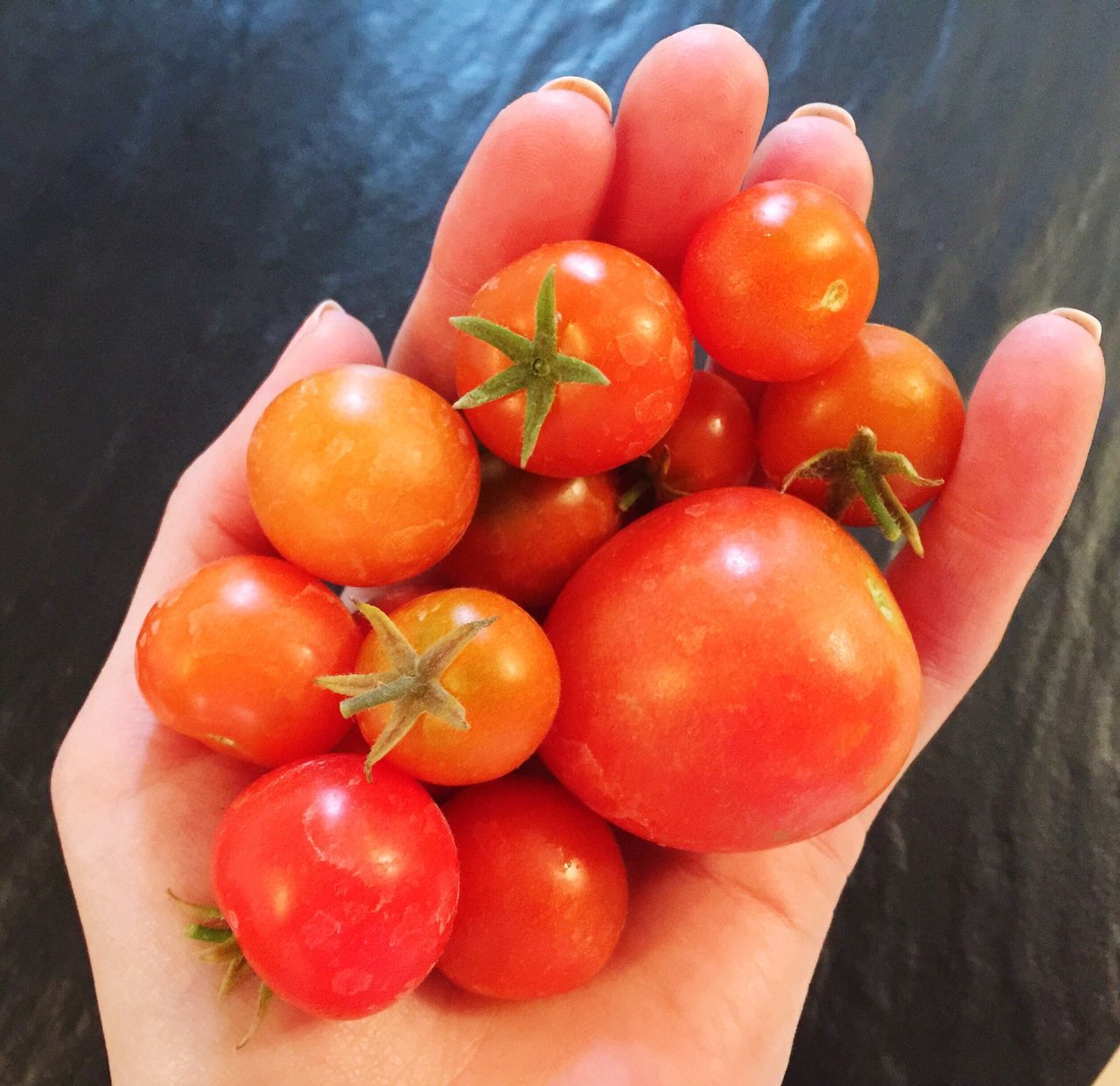 CLOSE-UP OF VEGETABLES