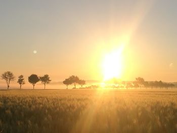 Scenic view of field against sky during sunset