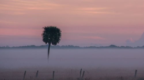 Scenic view of landscape against sky during sunset