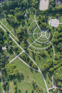 High angle view of trees growing on field