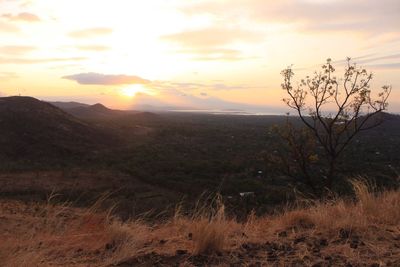 Scenic view of field against sky during sunset