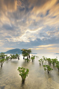 Scenic view of lake against sky at sunset