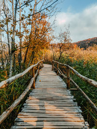 Empty wooden path in idyllic park in autumn