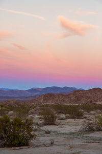 Scenic view of landscape against sky during sunset